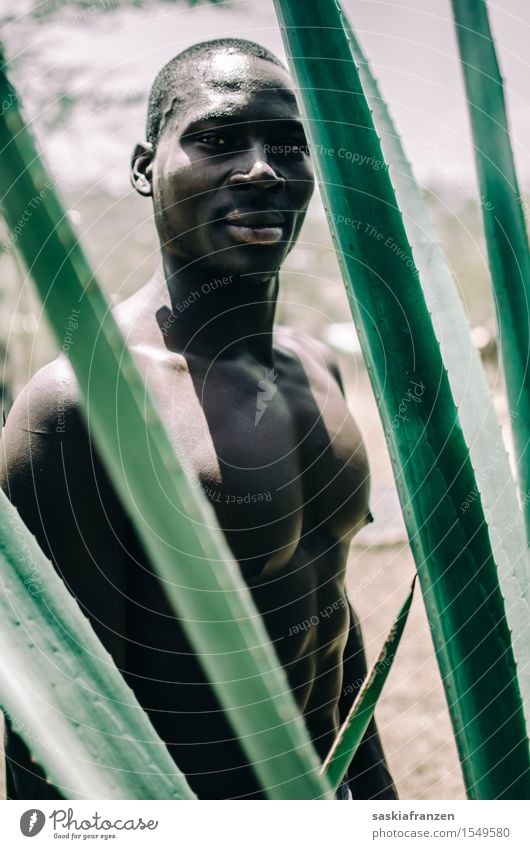 Blackness. Fitness Sport-Training Mensch maskulin Junger Mann Jugendliche Körper Brust Pflanze Kaktus Coolness exotisch modern muskulös nackt rebellisch Erotik