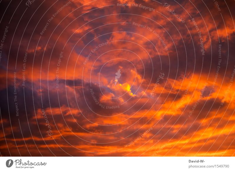 Der Himmel brennt Umwelt Natur Urelemente Luft nur Himmel Wolken Sonne Sonnenaufgang Sonnenuntergang Sonnenlicht Frühling Sommer Herbst Winter Klima Klimawandel