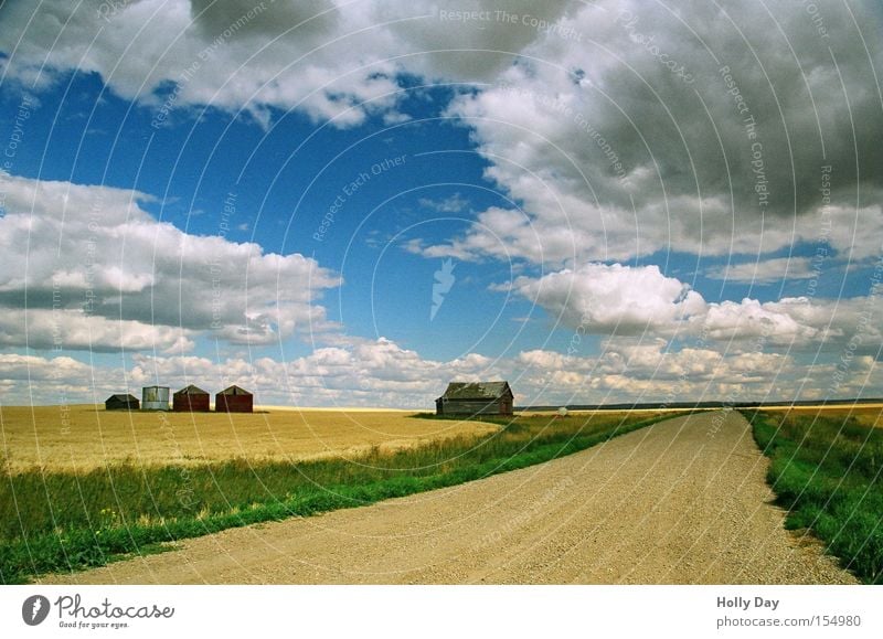 Licht und Schatten Farbfoto mehrfarbig Außenaufnahme Menschenleer Textfreiraum unten Tag Zentralperspektive Weitwinkel Haus Dachboden Gartenarbeit Landschaft