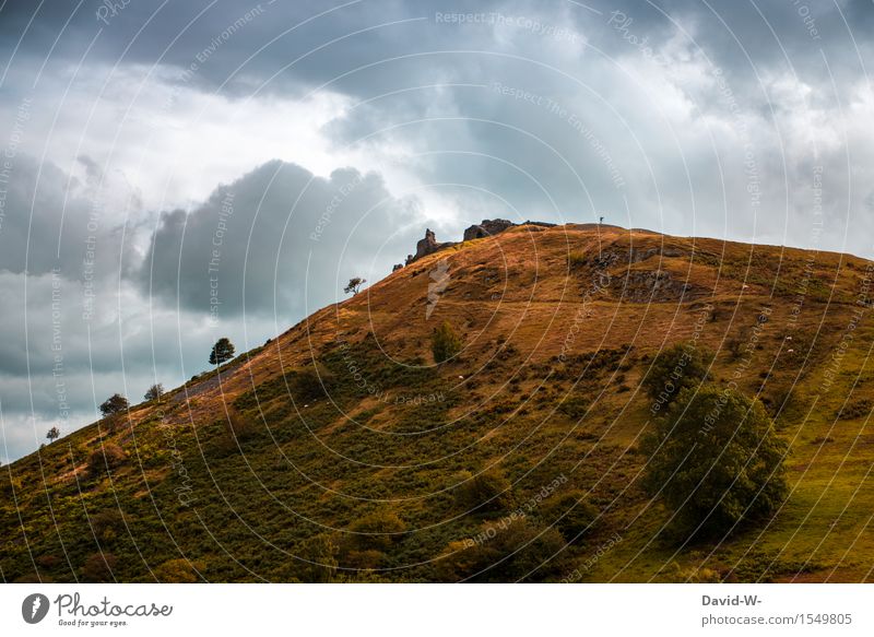 Wer findet den Fotografen? Ferien & Urlaub & Reisen Tourismus Ausflug Abenteuer Ferne Berge u. Gebirge wandern maskulin Mann Erwachsene Leben 1 Mensch Künstler