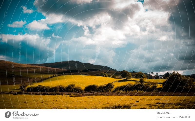 die schönen Seiten der Natur Umwelt Landschaft Himmel Wolken Gewitterwolken Sonne Sonnenlicht Frühling Sommer Herbst Klima Klimawandel Wetter Schönes Wetter