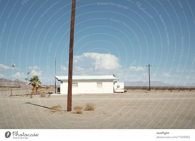 irgendwo zwischen paris und texas Umwelt Natur Landschaft Erde Sand Luft Himmel Sonne Wärme Dürre Pflanze Farn Grünpflanze Wildpflanze exotisch Hügel