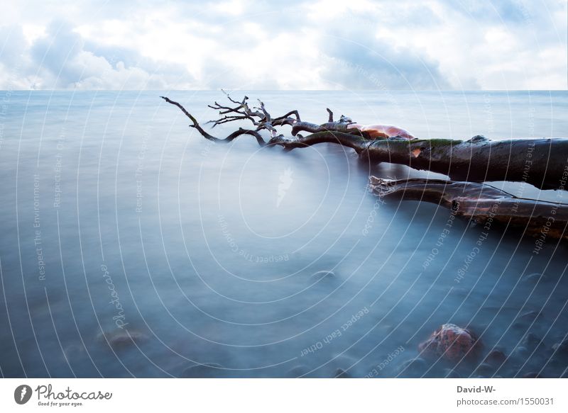 im Nebel versunken Umwelt Natur Landschaft Wasser Himmel Wolken Gewitterwolken Frühling Sommer Herbst Winter Klima Klimawandel Wetter Schönes Wetter