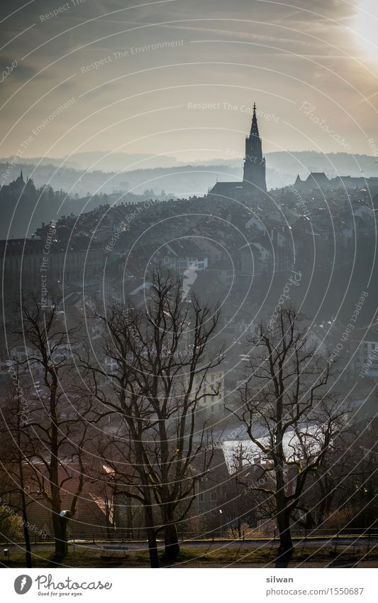 Berner Münster im Nebel der Aare Himmel Sonne Sonnenlicht Baum Gras Stadtrand Altstadt Kirche Dom Garten beobachten bedrohlich Bekanntheit groß kalt schön braun