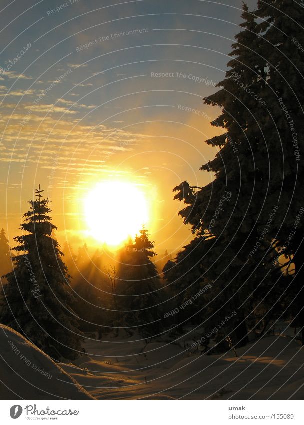 Winter Sonne Sonnenuntergang kalt Schneelandschaft Brocken Winterwald Wintersonne