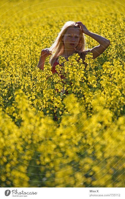 Ces im Feld Farbfoto mehrfarbig Außenaufnahme Sonnenlicht Blick in die Kamera Haare & Frisuren Freiheit Sommer Frau Erwachsene Natur Frühling Wind Blume