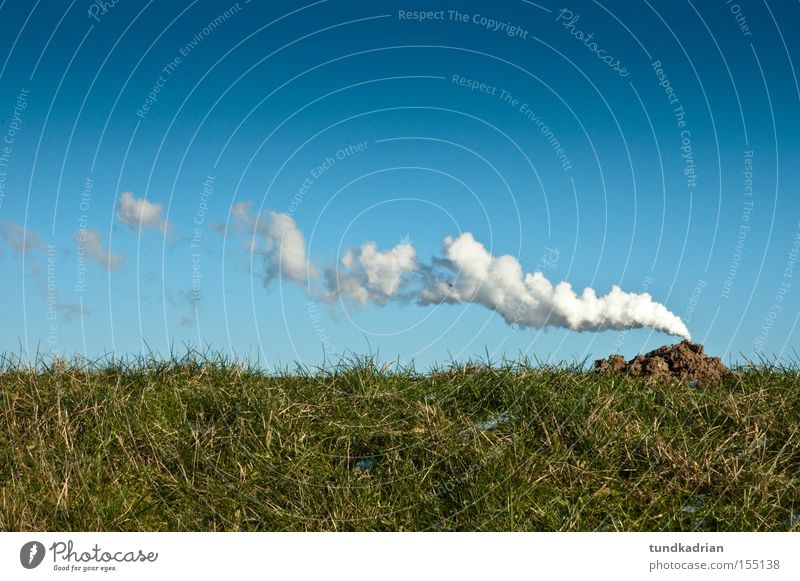 Der Maulwurf qualmt Abgas blau grün Himmel Zigarette Wiese Rauch