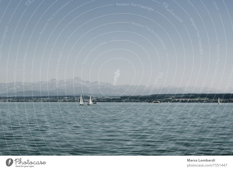 Lake Constance boats, alps in background Segelboot Natur Wasser Himmel Wolkenloser Himmel Sonne Sommer Wärme Alpen Berge u. Gebirge Seeufer Bodensee gigantisch