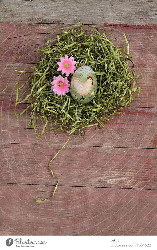 Gockelei Feste & Feiern Ostern Dekoration & Verzierung Religion & Glaube Tradition Osterei Osterhase Osternest Nest Moos Gras Holz altehrwürdig Blume Blüte