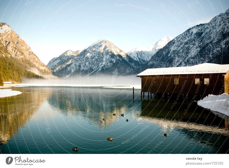 Heiterwanger See VIII Bootshaus Winter Stimmung kalt Nebel Berge u. Gebirge Reflexion & Spiegelung Ente Schnee gefroren Spaziergang Landschaft Alpen Österreich