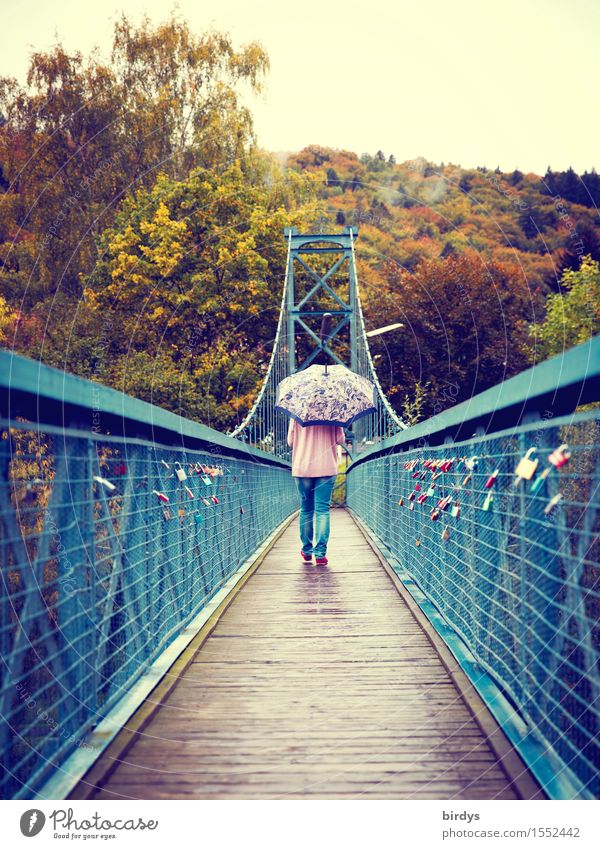 Brückenbekenntnisse feminin Frau Erwachsene 1 Mensch 18-30 Jahre Jugendliche 30-45 Jahre Himmel schlechtes Wetter Regen Park Wald Hängebrücke Fußgängerbrücke