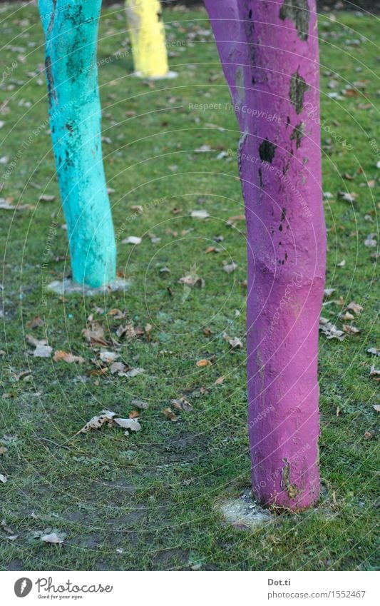 CMY Baum Gras Garten Wiese außergewöhnlich Fröhlichkeit lustig verrückt mehrfarbig gelb violett türkis Baumstamm bemalt Farbe Baumrinde 3 seltsam Farbfoto