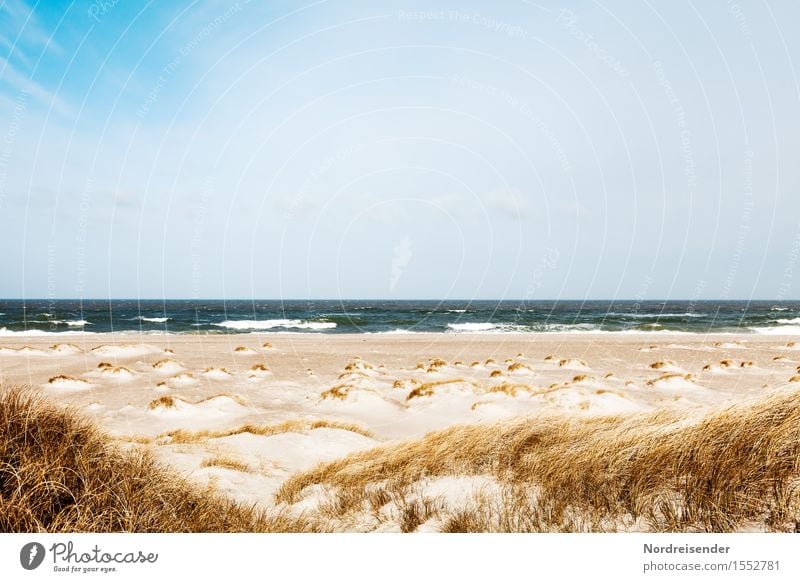 Durchatmen Ferien & Urlaub & Reisen Ferne Sommer Sommerurlaub Strand Meer Natur Landschaft Urelemente Sand Wasser Frühling Schönes Wetter Wind Gras Nordsee