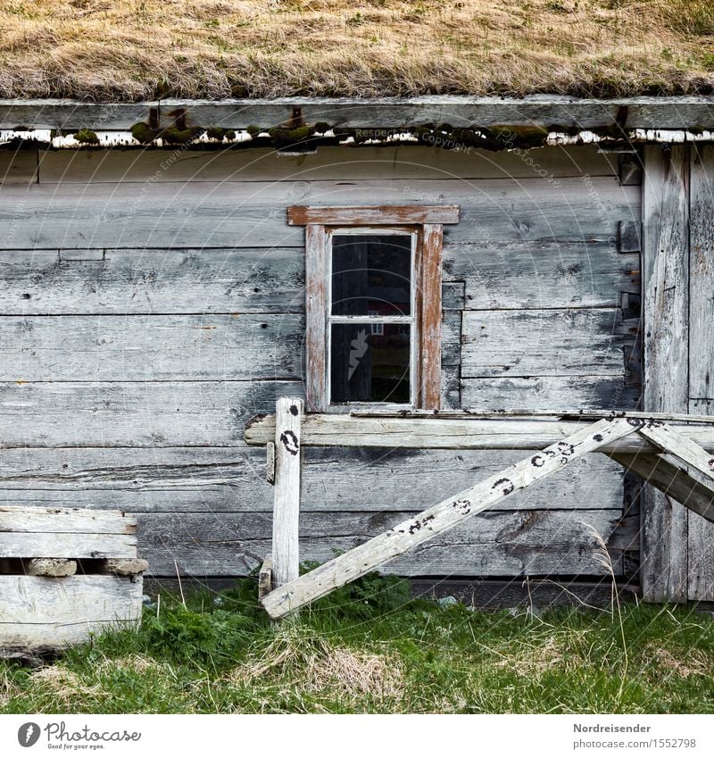 Fischerhütte Renovieren Gras Dorf Fischerdorf Haus Hütte Bauwerk Gebäude Mauer Wand Fassade Fenster Holz Häusliches Leben authentisch Einsamkeit einzigartig