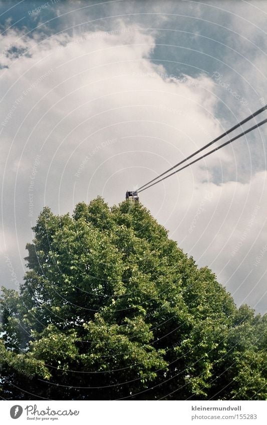 Seilschaften Baum Blatt Drahtseil Spannung Himmel Wolken Maibaum Lomografie