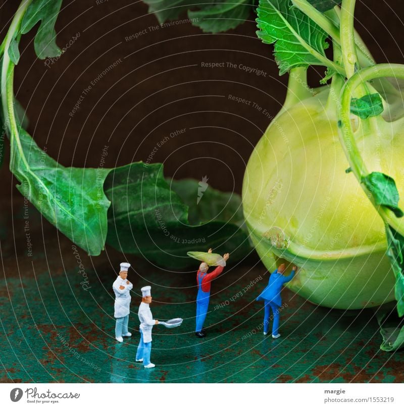 Miniwelten - Kohlrabi Mahlzeit Gemüse Salat Salatbeilage Ernährung Bioprodukte Vegetarische Ernährung Diät Beruf Koch Gartenarbeit Arbeitsplatz Küche