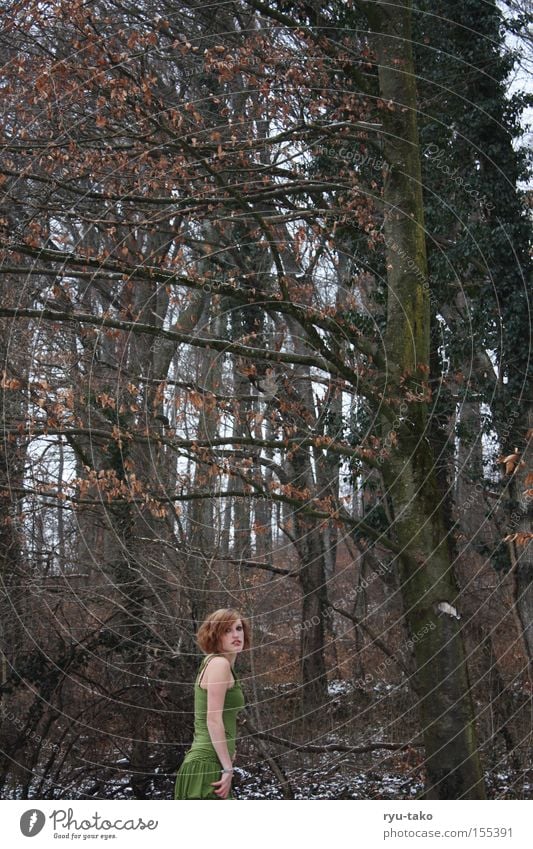 Letzter Rückblick Frau Wald Winter Schnee kalt Baum Blatt Kleid grün gestreift drunter stehen zurückschauen