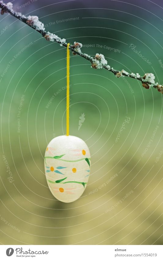 Osterei gekühlt Ostern Zweige u. Äste Schnur Ei Eis Holz hängen Fröhlichkeit frisch einzigartig kalt nah Stadt Glück Optimismus bescheiden sparsam Design