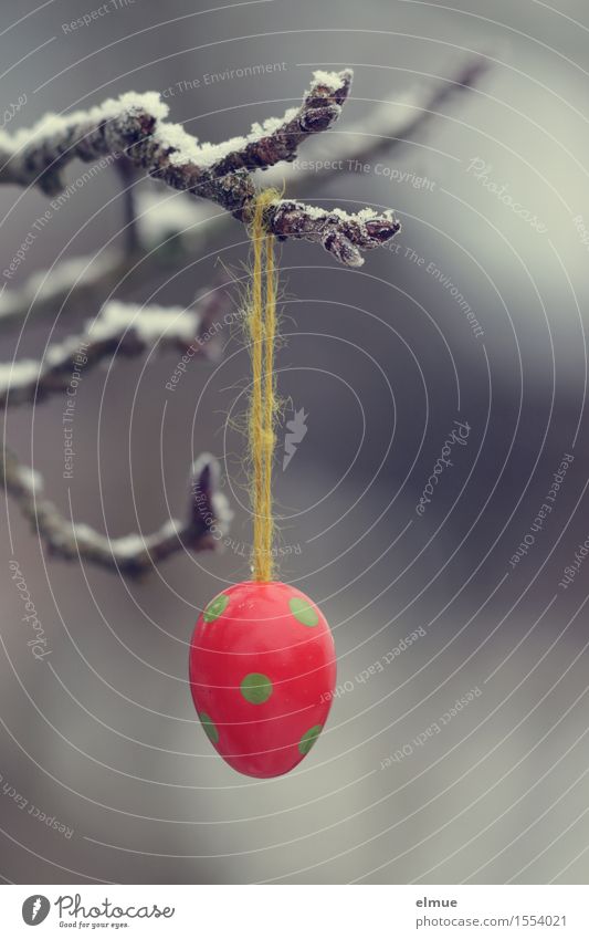 Osterei pünktlich Schnee Ostern Frühling Apfelbaum Zweige u. Äste Ei Punktmuster Schnur hängen einzigartig trashig Stadt grün rot Freude Fröhlichkeit