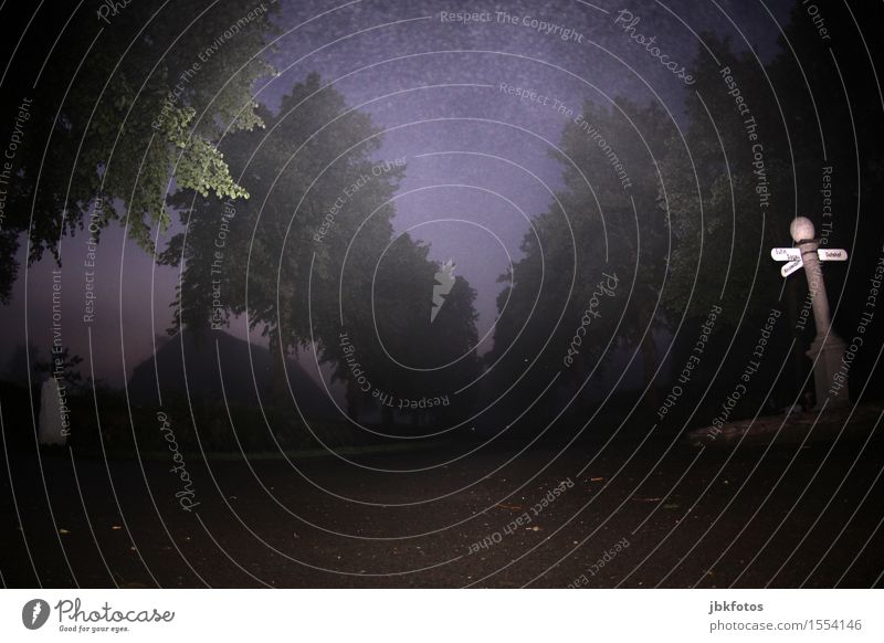 Frohe Ostern Umwelt Natur Nachthimmel Sommer schlechtes Wetter Nebel Baum Allee Dorf Verkehr Verkehrswege Straße Straßenkreuzung Wegkreuzung Verkehrszeichen