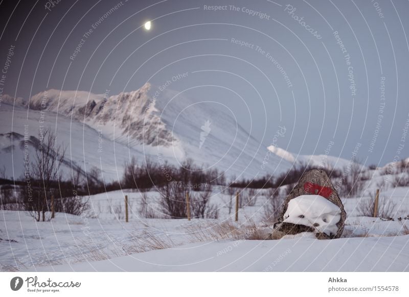 Rondane I Natur Landschaft Wolkenloser Himmel Mond Winter Eis Frost Schnee Berge u. Gebirge Gipfel Schneebedeckte Gipfel stehen leuchten wild Vertrauen