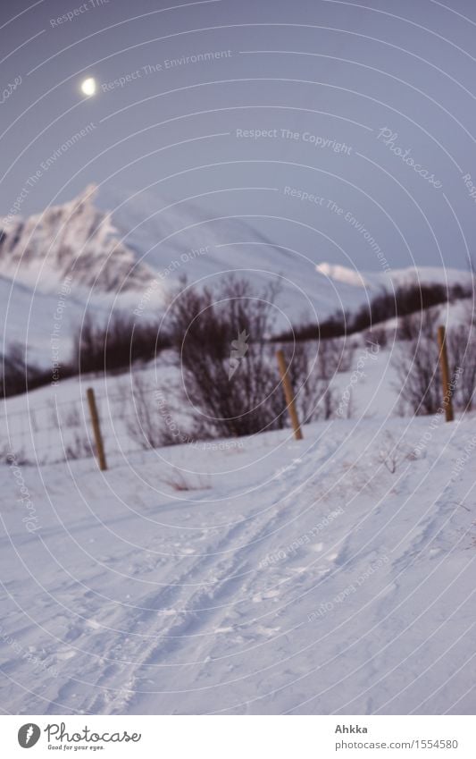 Rondane II Landschaft Nachthimmel Mond Winter Eis Frost Schnee Sträucher Gipfel träumen Ferne Unendlichkeit wild blau Vorfreude Vertrauen ruhig Fernweh