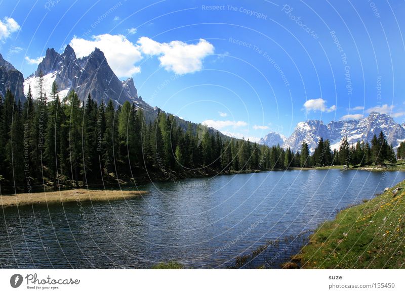 Bergsee Ferien & Urlaub & Reisen Berge u. Gebirge Umwelt Natur Landschaft Urelemente Himmel Sommer Klima Schönes Wetter Baum Wiese Wald Alpen Gipfel