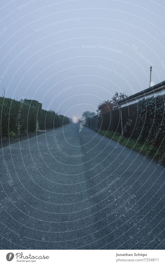 durch die Kleingärten Umwelt Natur Himmel Wolkenloser Himmel Herbst Winter schlechtes Wetter Nebel Traurigkeit Unlust Angst Unglaube trist grau blau