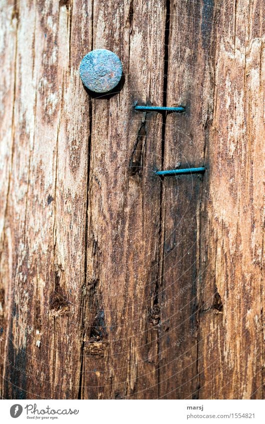 Ob das was nützt? Nagel Heftklammer Holz Rost alt einfach festgemacht Heftklammerer Nagelkopf sinnlos nutzlos Riss Holzstruktur verwittert Patina Farbfoto