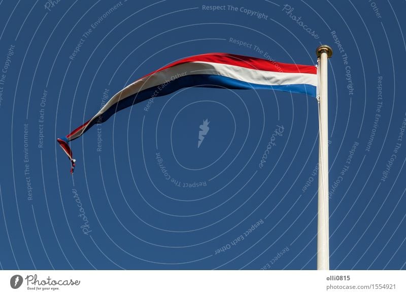 Niederländische Flagge Sommer Feste & Feiern Erde Himmel Wolken Wind Streifen Fahne dünn lang weiß Selbstständigkeit Niederländer Niederländische Kultur Europa