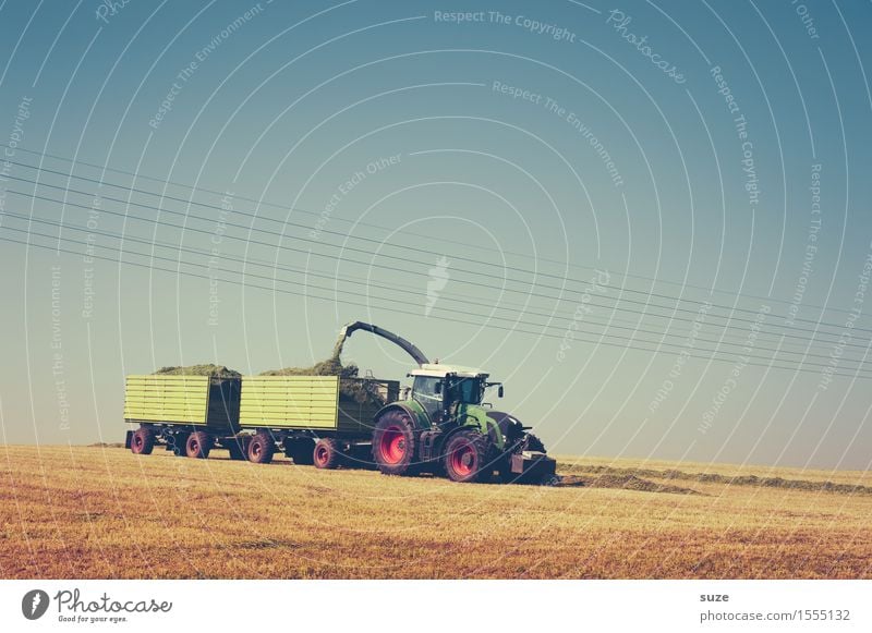 Landarbeit Sommer Arbeit & Erwerbstätigkeit Landwirtschaft Forstwirtschaft Maschine Technik & Technologie Umwelt Natur Landschaft Erde Himmel Horizont