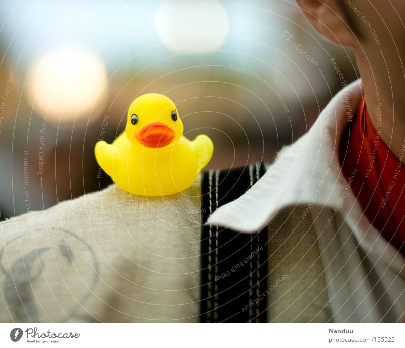 Schulterblick Ente Badeente sitzen Hosenträger Hemd frech niedlich Kunststoff gelb Dekoration & Verzierung Vogel