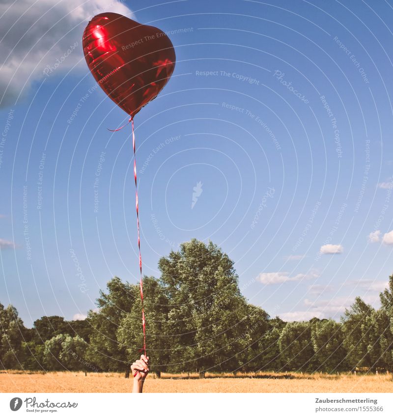 Luft & Liebe Flirten Valentinstag Hochzeit Geburtstag Hand Natur Sommer Schönes Wetter Luftballon Herz Gefühle Freude Fröhlichkeit Lebensfreude Sympathie