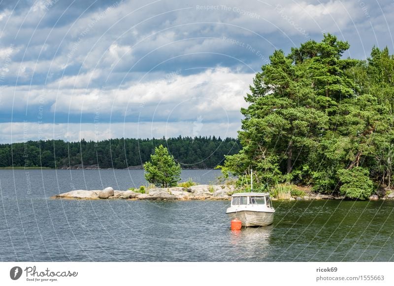 Schären an der schwedischen Küste Erholung Ferien & Urlaub & Reisen Tourismus Insel Natur Landschaft Wolken Baum Ostsee Wasserfahrzeug blau grün Schweden