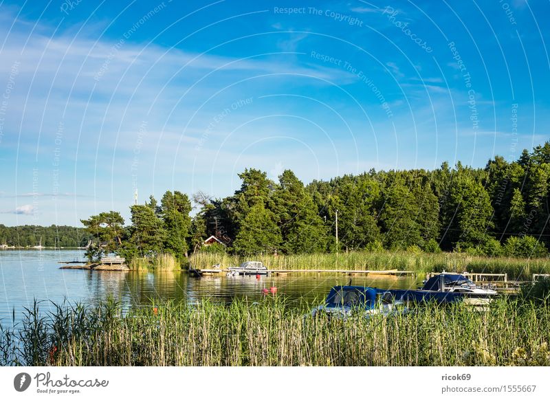 Schären an der schwedischen Küste Erholung Ferien & Urlaub & Reisen Tourismus Insel Natur Landschaft Wolken Baum Ostsee Wasserfahrzeug blau grün Schweden