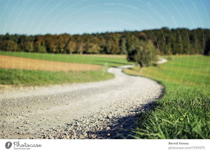 S` Umwelt Natur Landschaft Sonne Sommer Baum Gras Feld Hügel blau grau grün Kurve Kies Boden nah schön Spaziergang Idylle Umweg fahren Autofahren Landwirtschaft