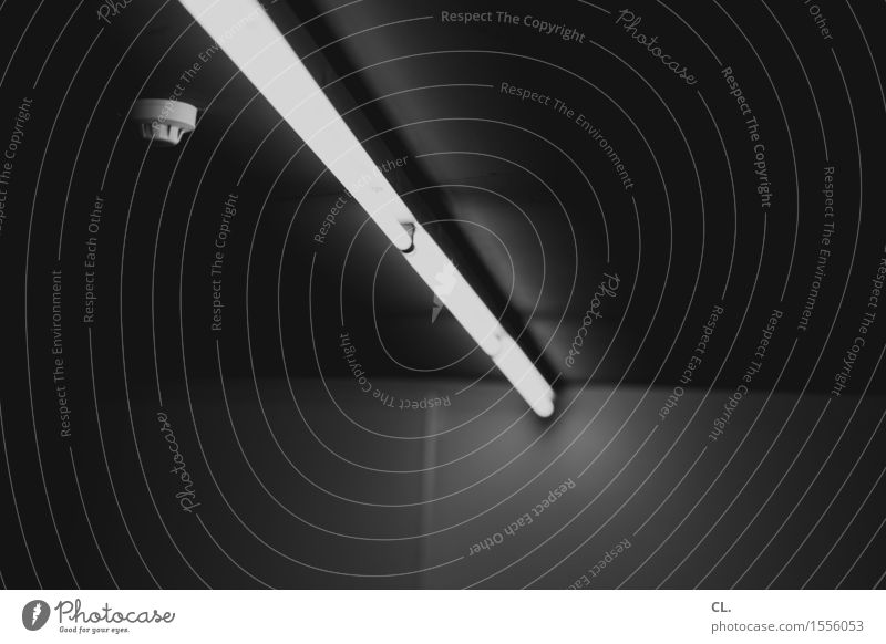 neonröhre und rauchmelder Raum Mauer Wand Decke Neonlicht dunkel Licht Beleuchtung Beleuchtungselement Schwarzweißfoto Innenaufnahme Menschenleer
