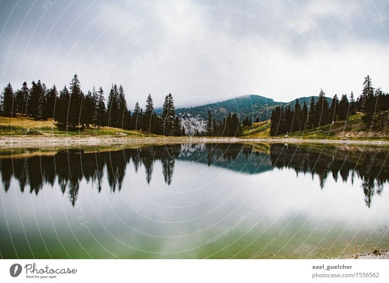 Dark Mountain Pond Umwelt Natur Landschaft Wasser Himmel Wolken schlechtes Wetter Baum Wald Hügel Berge u. Gebirge Gipfel Teich Stimmung Idylle Farbfoto