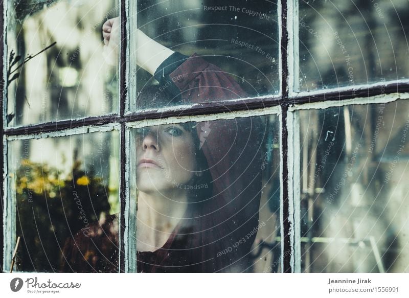 schöne Ansichten Garten feminin Kopf Arme 1 Mensch Blumenstrauß Fensterblick Blick stehen warten ästhetisch Schutz demütig Traurigkeit Liebeskummer Unlust