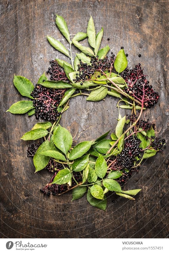 Kranz aus Holunder Zweige mit Beeren und Blättern Lebensmittel Frucht Dessert Marmelade Ernährung Bioprodukte Stil Design Gesunde Ernährung Tisch Natur Pflanze