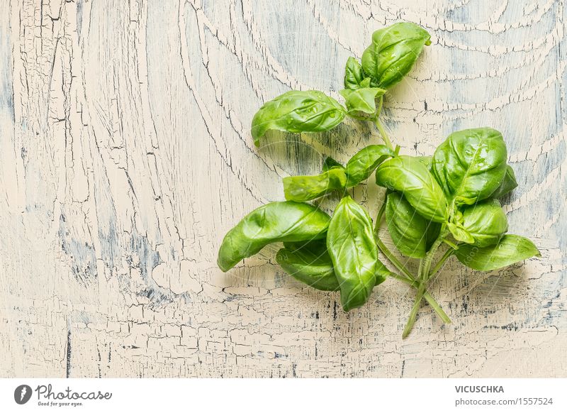 Frisches Basilikum Bündel mit Wassertropfen Lebensmittel Kräuter & Gewürze Ernährung Bioprodukte Vegetarische Ernährung Diät Stil Design Gesunde Ernährung