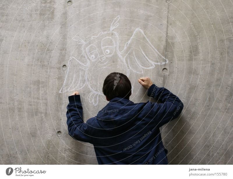 was willst du eigentlich??? Eulenvögel Wand Beton Mann Aggression Wut Faust trist grau Jacke Rücken Sozialer Dienst Ärger Alltagsfotografie