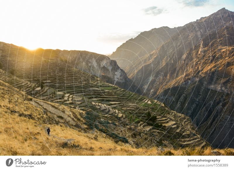 Colca Canyon Ausflug Abenteuer Expedition Camping Berge u. Gebirge wandern Natur Landschaft Sonnenaufgang Sonnenuntergang Schlucht Arequipa Peru Südamerika