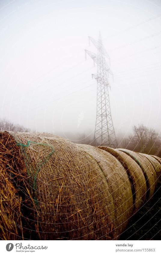 Geballt Landwirtschaft Stroh Strohballen Elektrizität Energie Strommast Umwelt Bioprodukte Biologische Landwirtschaft Klima biologisch Vorrat ökologisch