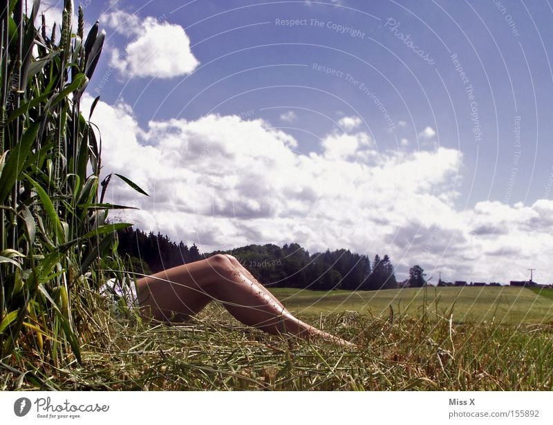 Sommerfreuden :-) Farbfoto Außenaufnahme Frau Erwachsene Beine Landschaft Wolken Gras Wiese Feld nackt Mais Versteck Blauer Himmel Blumenwiese Maisfeld Kornfeld