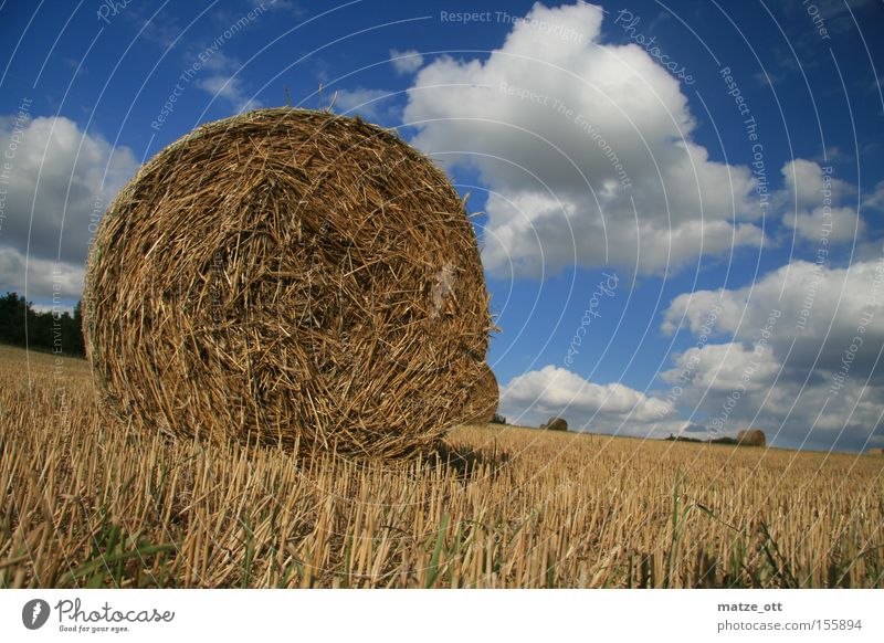 Strohballen Herbst Himmel Wolken Sommer Natur Heu August Oberfranken Bayern Feld Landwirtschaft Ackerbau Getreide