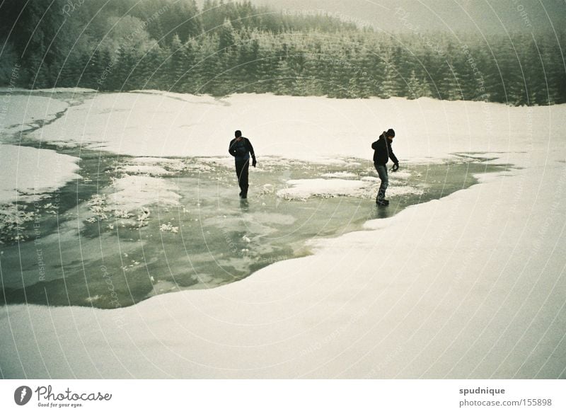 on a frozen day in summer Schnee Eis gefroren frieren Wasser Wiese Wald Waldlichtung wandern Winter Winterwald brechen rutschen gleiten weiß ruhig