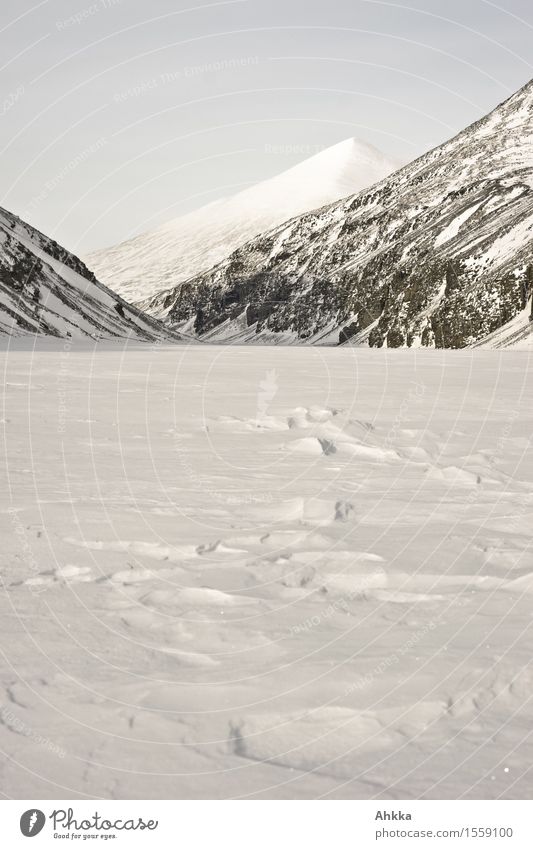 Rondvatnet Natur Landschaft Winter Eis Frost Schnee Berge u. Gebirge Gipfel wild weiß erhaben nordisch kalt Ferne Schneebedeckte Gipfel Zielvorstellung