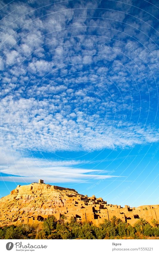 Jahreszeit Afrika in Marokko der alte Ferien & Urlaub & Reisen Tourismus Sommer Kultur Landschaft Pflanze Wetter Dorf Kleinstadt Stadt Burg oder Schloss Ruine