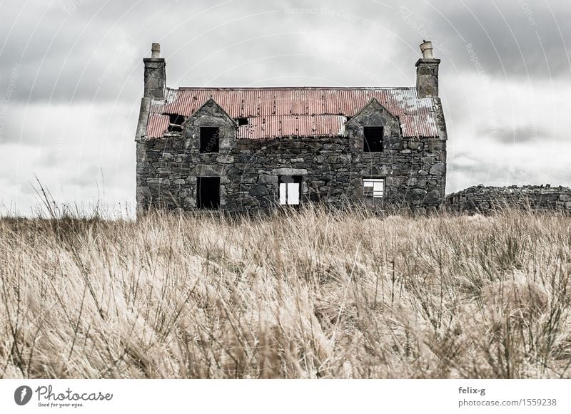 Creepy Landschaft Wolken Herbst schlechtes Wetter Wind Gras Wiese Haus Hütte Ruine Baracke Fassade Schornstein Stein alt Traurigkeit gruselig grau Angst Senior